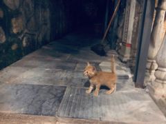 -山间农家