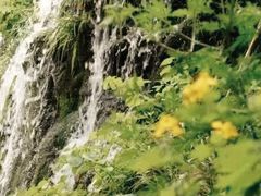 -沕沕水生态风景区