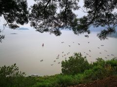 -小皓村
