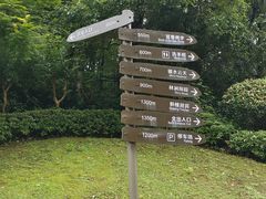 -桃花岭景区