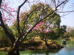 -西溪国家湿地公园