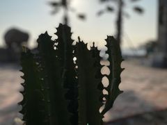 -5号餐厅