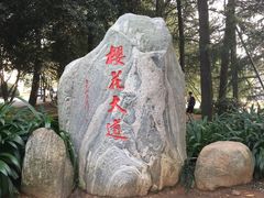 -武汉大学-樱园