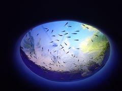 -欢乐海岸海洋奇梦馆