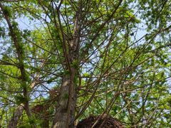 -羊亭河湿地公园