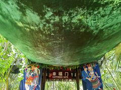-呀诺达热带雨林