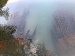 -靖西鹅泉风景区