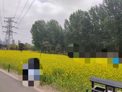 -长白岛森林公园