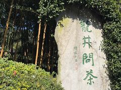 -十八棵（老龙井）御茶园(老龙井店)