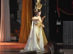 -金东尼人妖秀