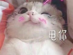 -漢頓温泉度假酒店
