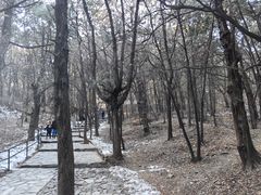 -香山公园