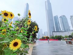 -海心沙亚运公园