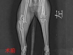 -北京派仕佳德动物医院·超导核磁·CT·神经科·骨科·内外科·急重症管理中心
