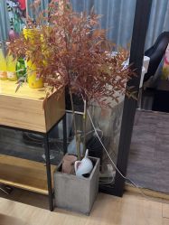 -竹马造型工作室