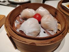 -新兴·金羊座·粤菜点心(乐峰店)