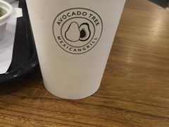 -油梨树 AVOCADO TREE(亮马桥店)