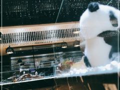 -红辣椒·川菜·火锅(张杨路店)
