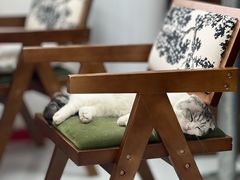 -seeu coffee(江滩店)