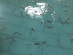 -天山海世界·米立方