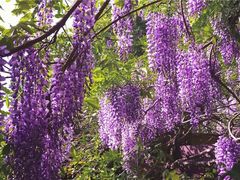 -龙口南山旅游景区