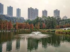 -重庆彩云湖湿地公园