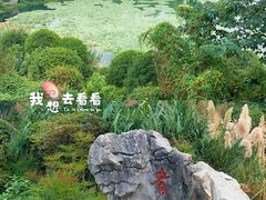 -青岩古镇