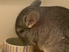 -龙猫仔乐园(惠福东路店)