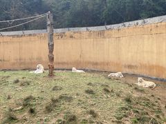 -宁波野生动物园