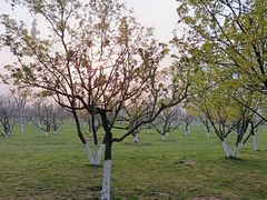 -汉长安城未央宫国家考古遗址公园