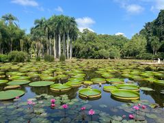 -中国科学院西双版纳热带植物园