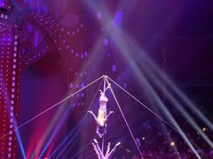 -珠海横琴长隆《卡卡虎奇遇记》