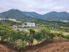-白石龙音乐公园