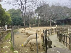 -南昌动物园