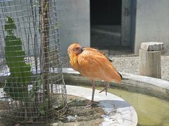 -青藏高原野生动物园