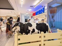 -红星前进面包牛奶公司(君太店)