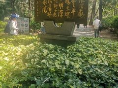 -宋井风景区