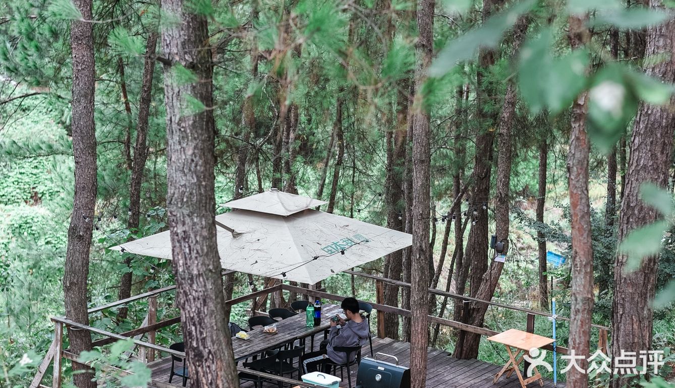 主城小众遛娃农场&松林烧烤&露营⛺️&捉鸡磨豆浆喂兔子🐰