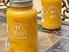 -野萃山·潮汕厚果汁(十亩地店)