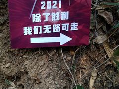 -黄埔油麻山森林公园