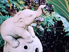 -愛的烹調