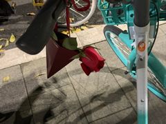 -金光华广场