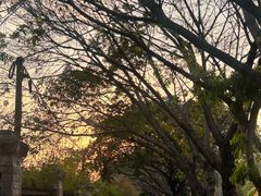 -火炉山森林公园