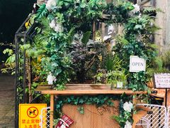 -more than meow吴止猫主题餐厅(承德 中船汇店)