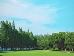 -合肥滨湖国家森林公园