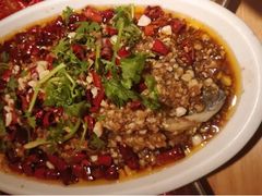 -杨氏青龙虾·羊蝎子(托乐嘉店)