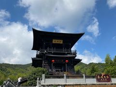 -大唐贡茶院