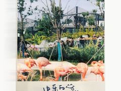 -武汉动物园