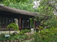 -上海醉白池公园