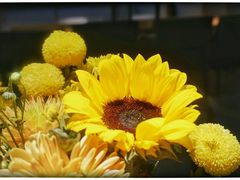 -原食日记(合生汇购物中心店)